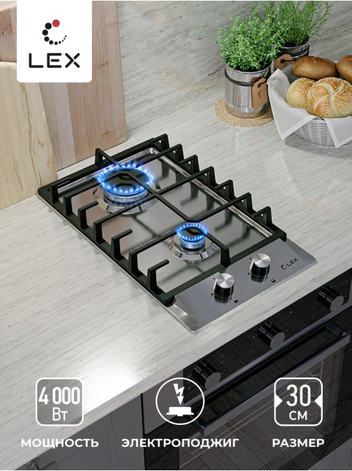 LEX GVS 321 IX