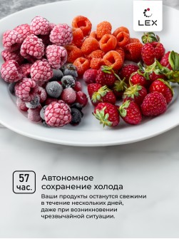 LEX LFR384