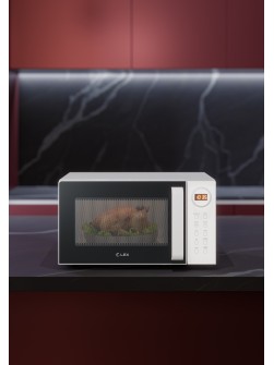 LEX FSMO D23.10 WH